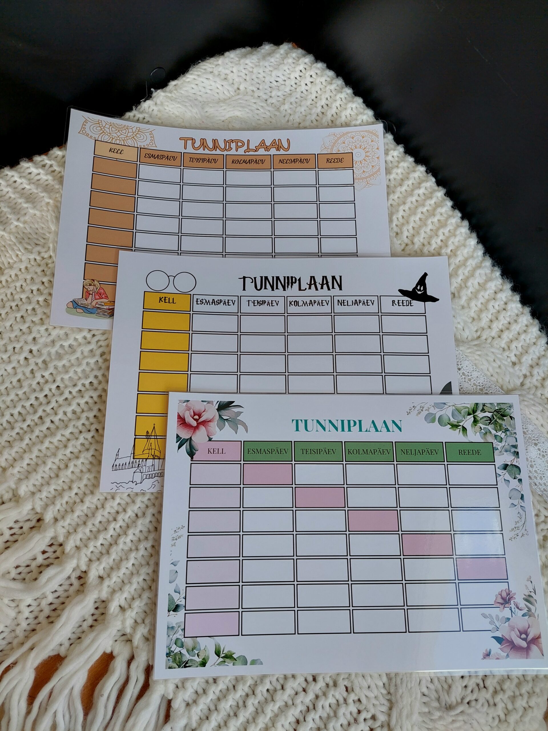 Tunniplaan koos järjehoidjaga - Pilt 6