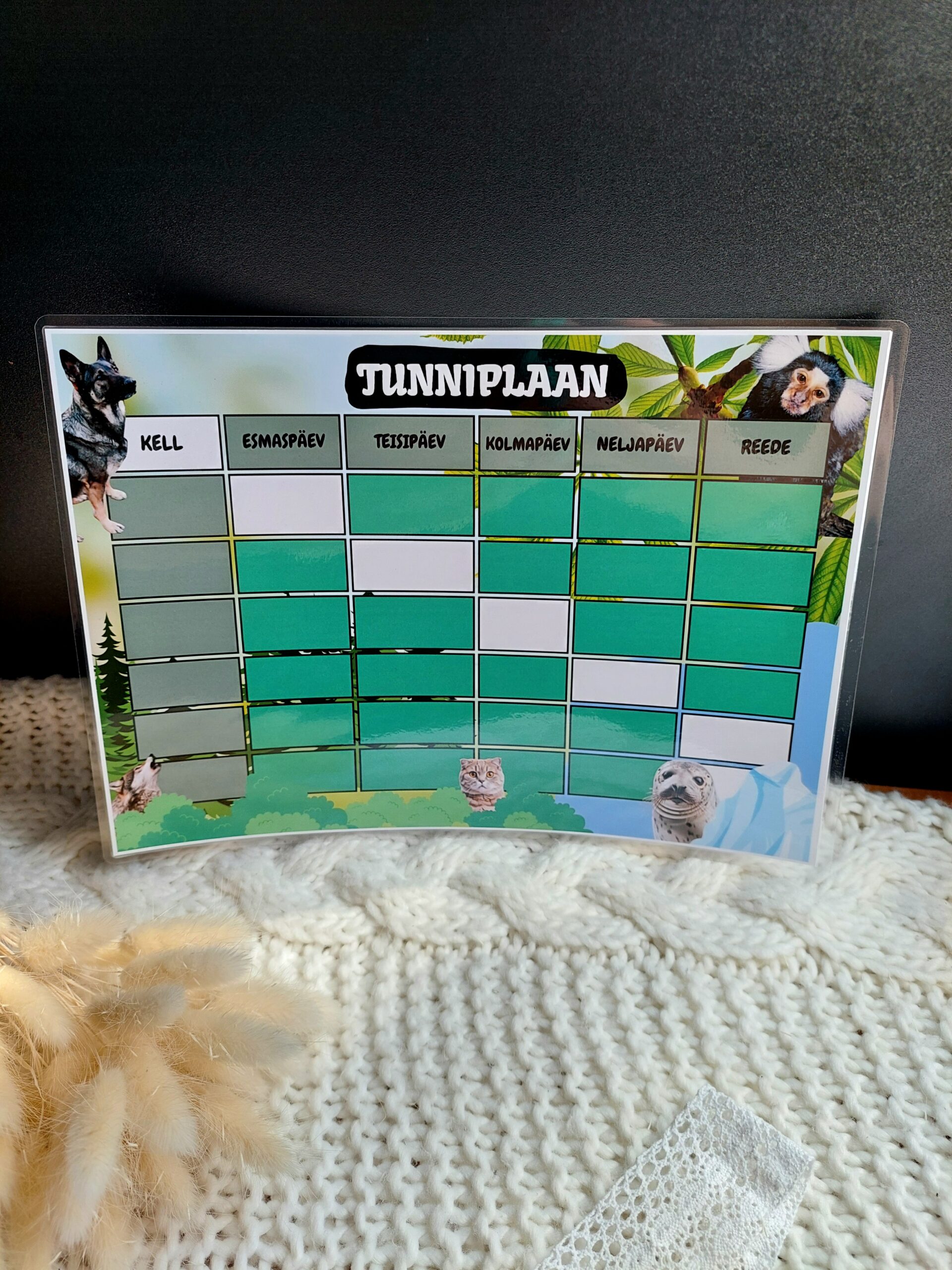 Tunniplaan koos järjehoidjaga - Pilt 7