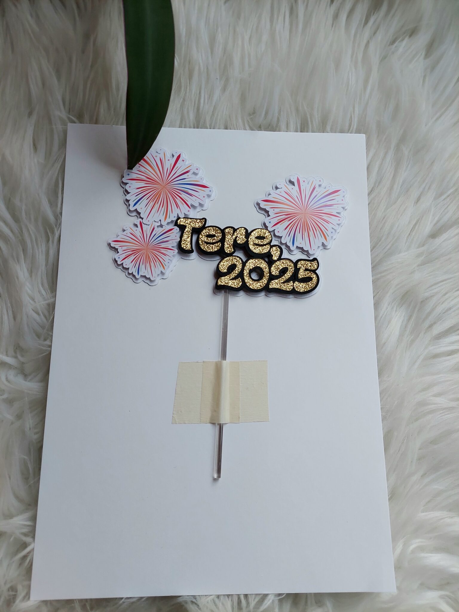 20241127_110755