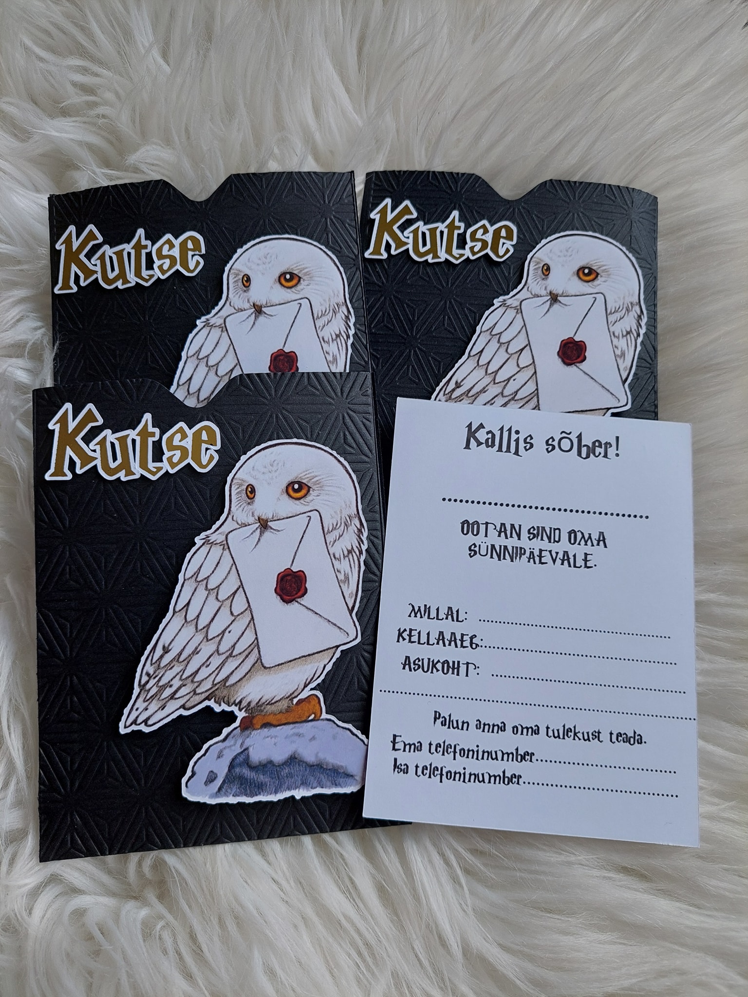 495345699_1223720059565728_4725382189616398745_n