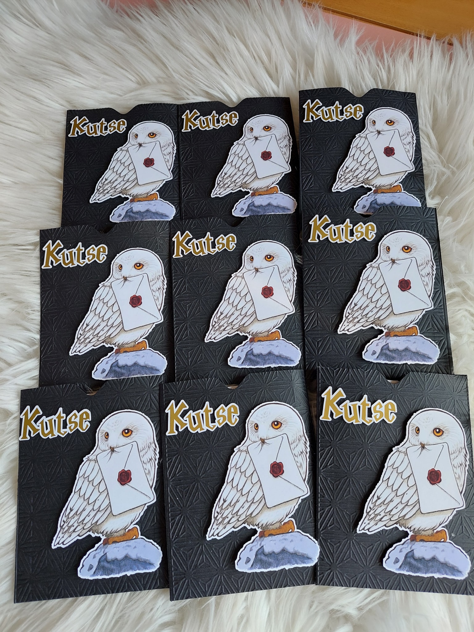 495599116_1223719959565738_883321785755563169_n